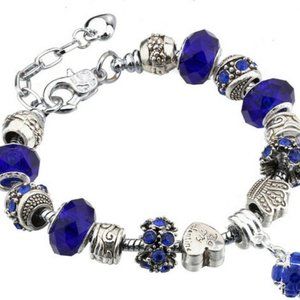 Sterling Silver Charm Bracelet Pandora charms